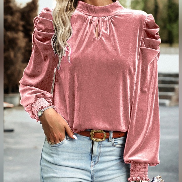 Tie Up Mock Neck Velvet Fabric Long Sleeve Blouse - Picture 11 of 12